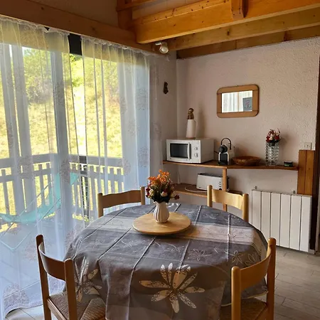 Duplex Avec Belle Terrasse Au Pied Des Pistes *